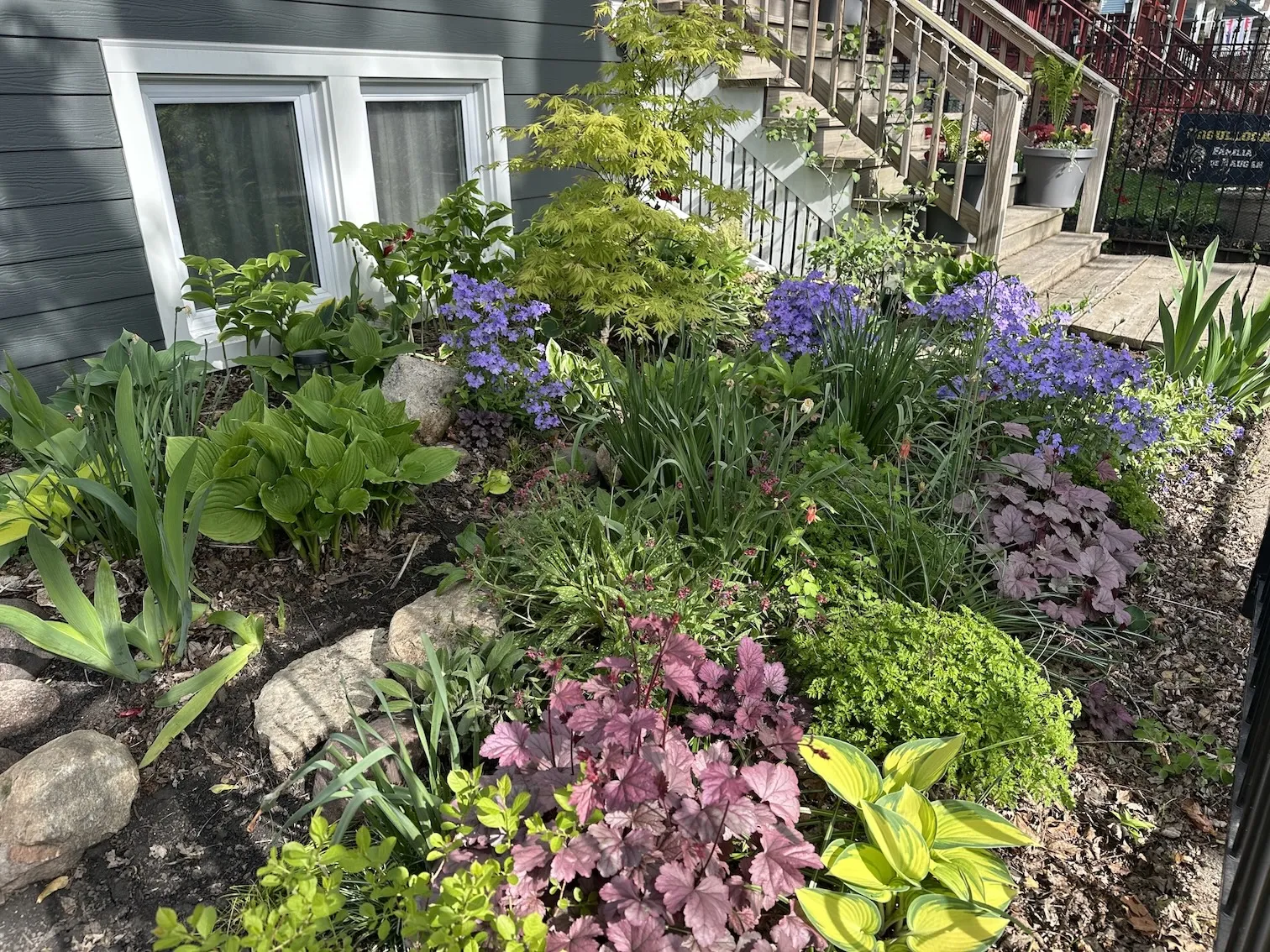 photo of my home garden