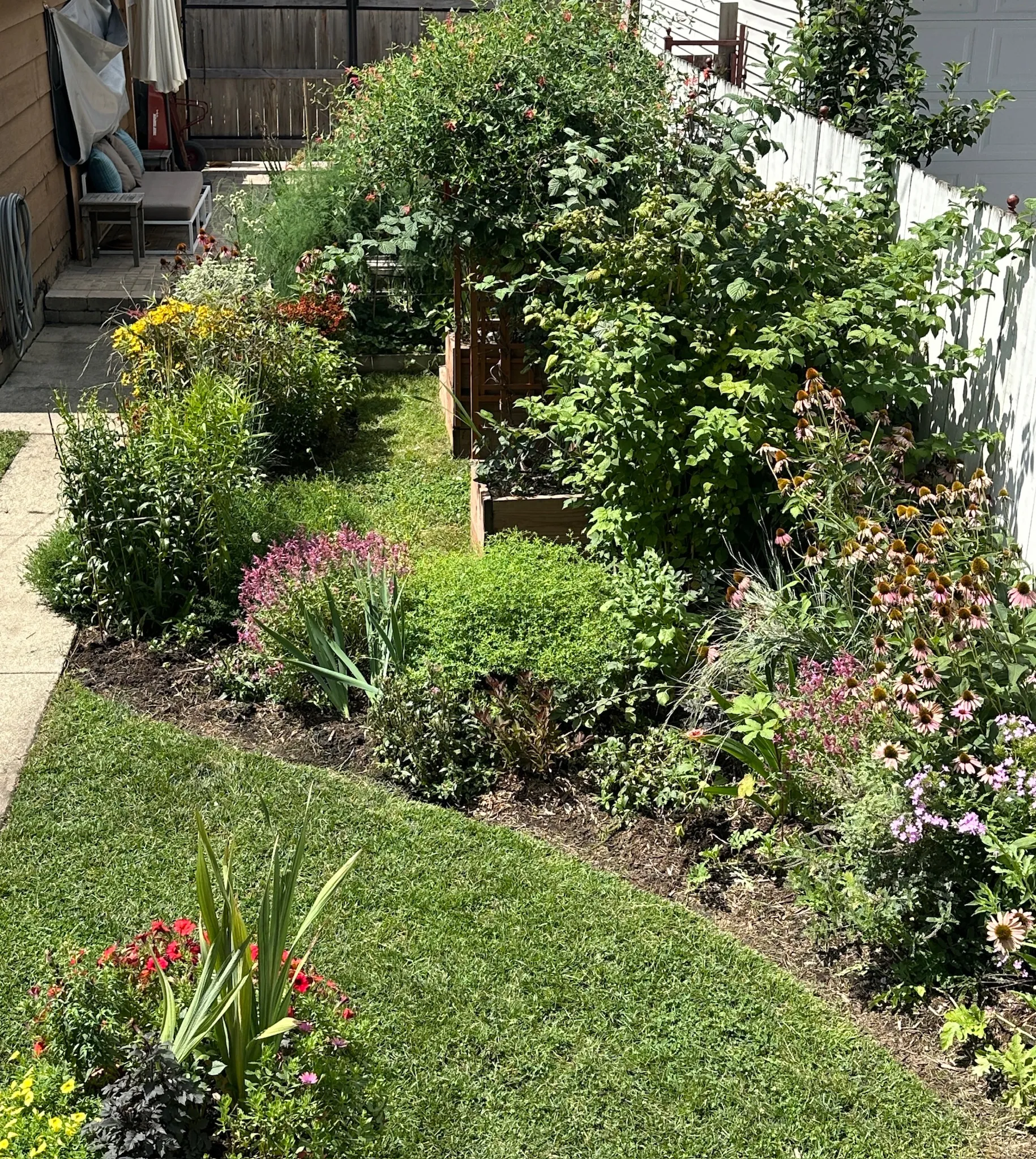 rain garden, after