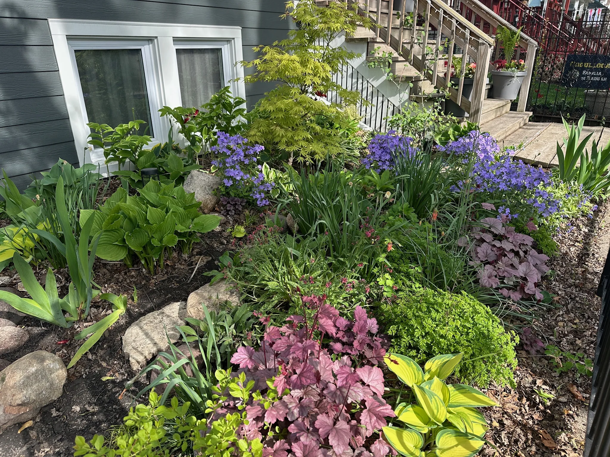 my garden, after