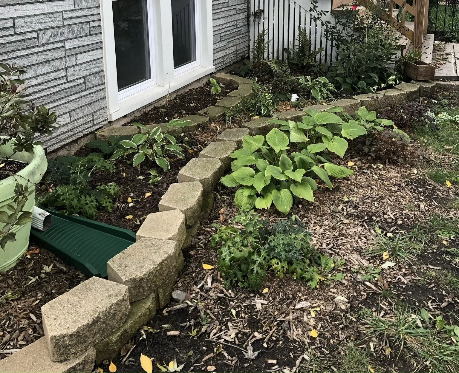 my garden, before