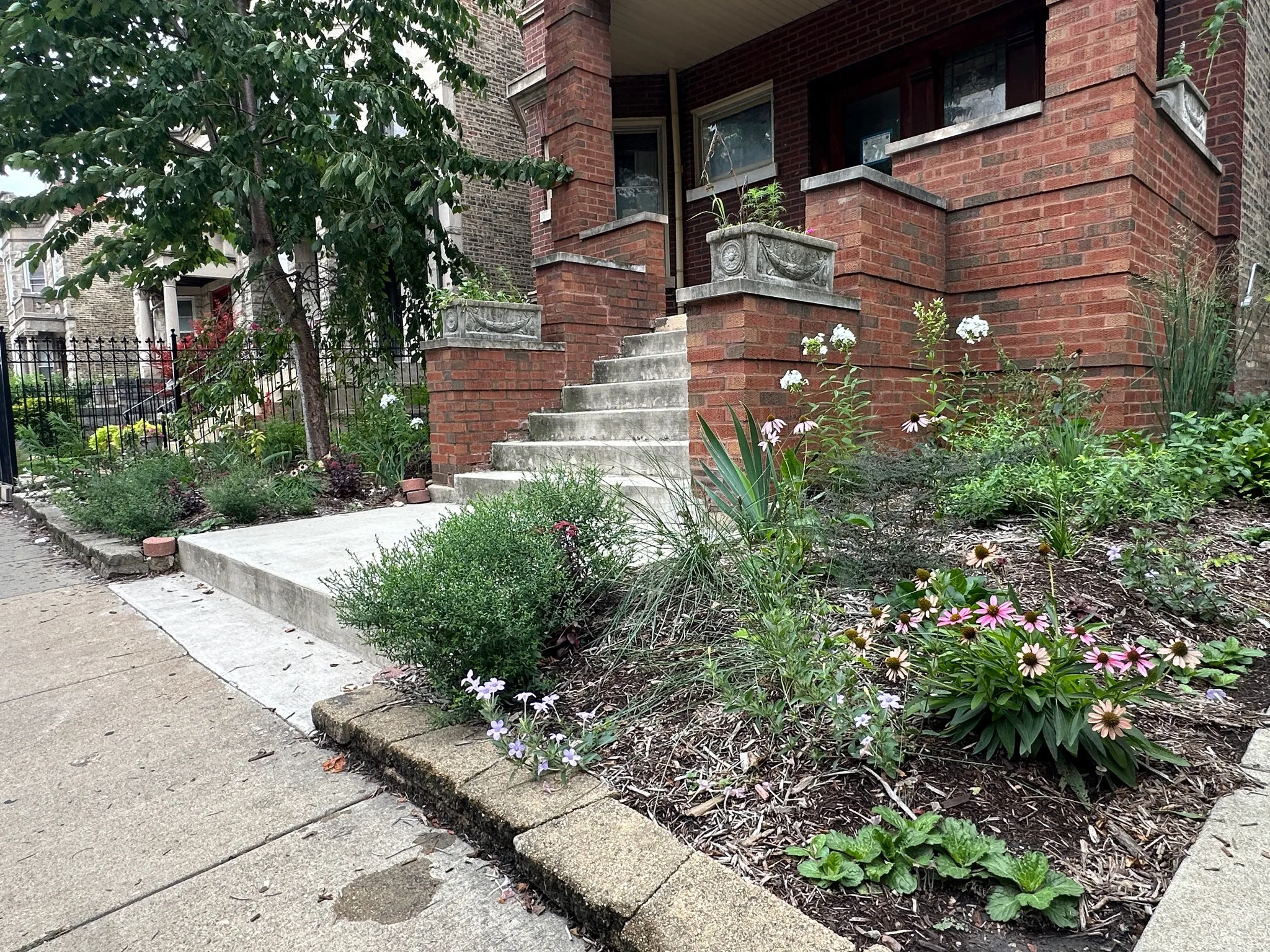 Logan Square front garden, after